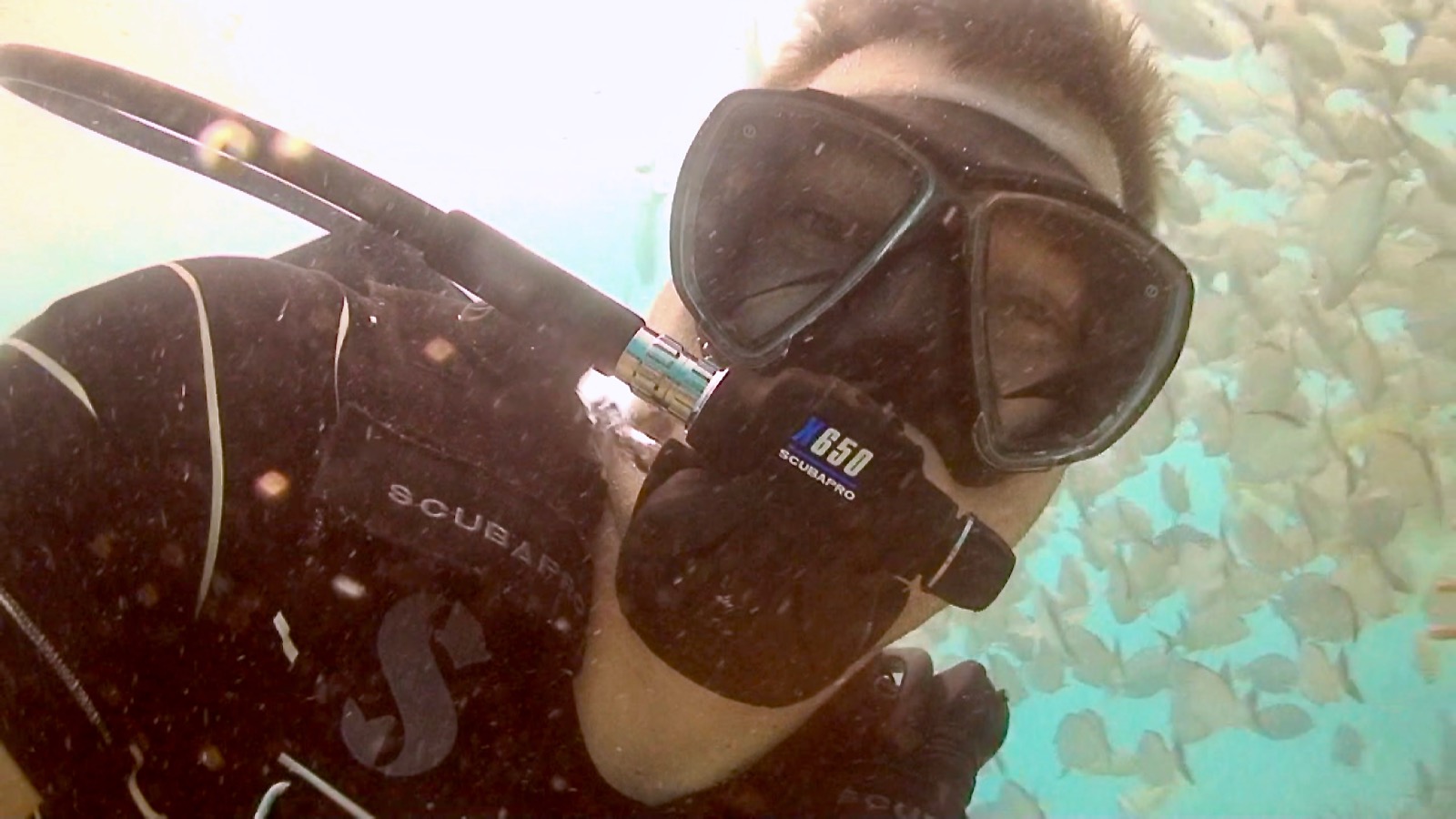 Dave Taylor diving a reef.
