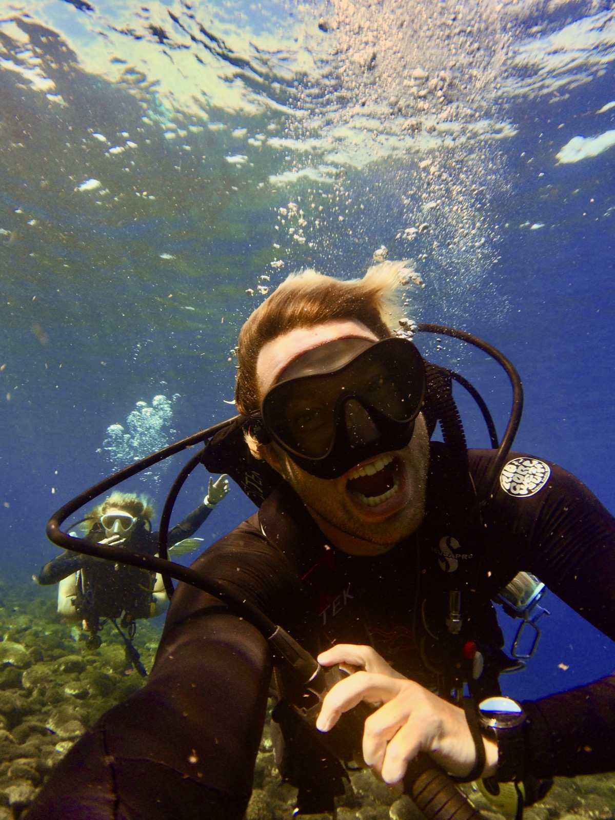 Dave Taylor underwater with a sea turtle.