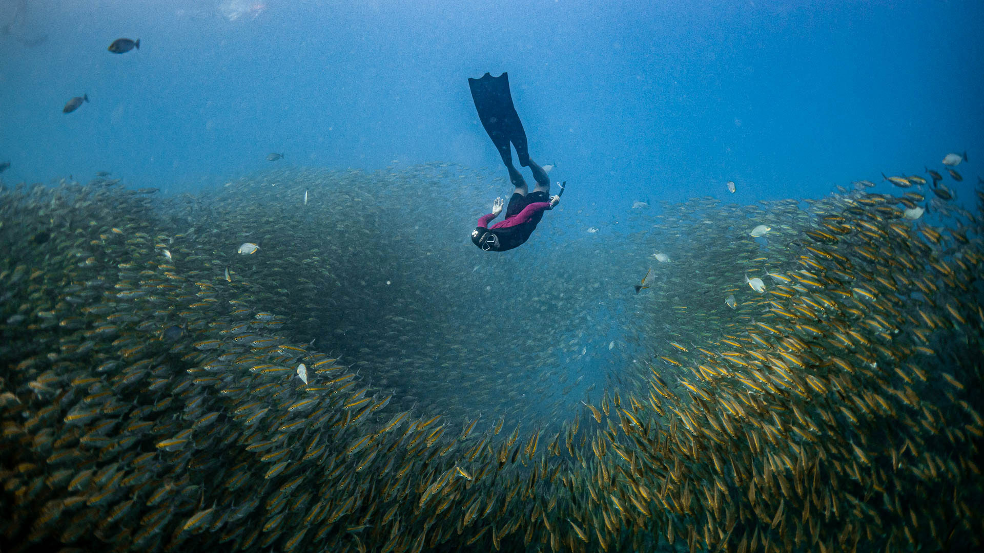 Koh Tao